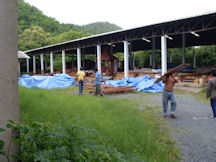 NE1ModernThai
